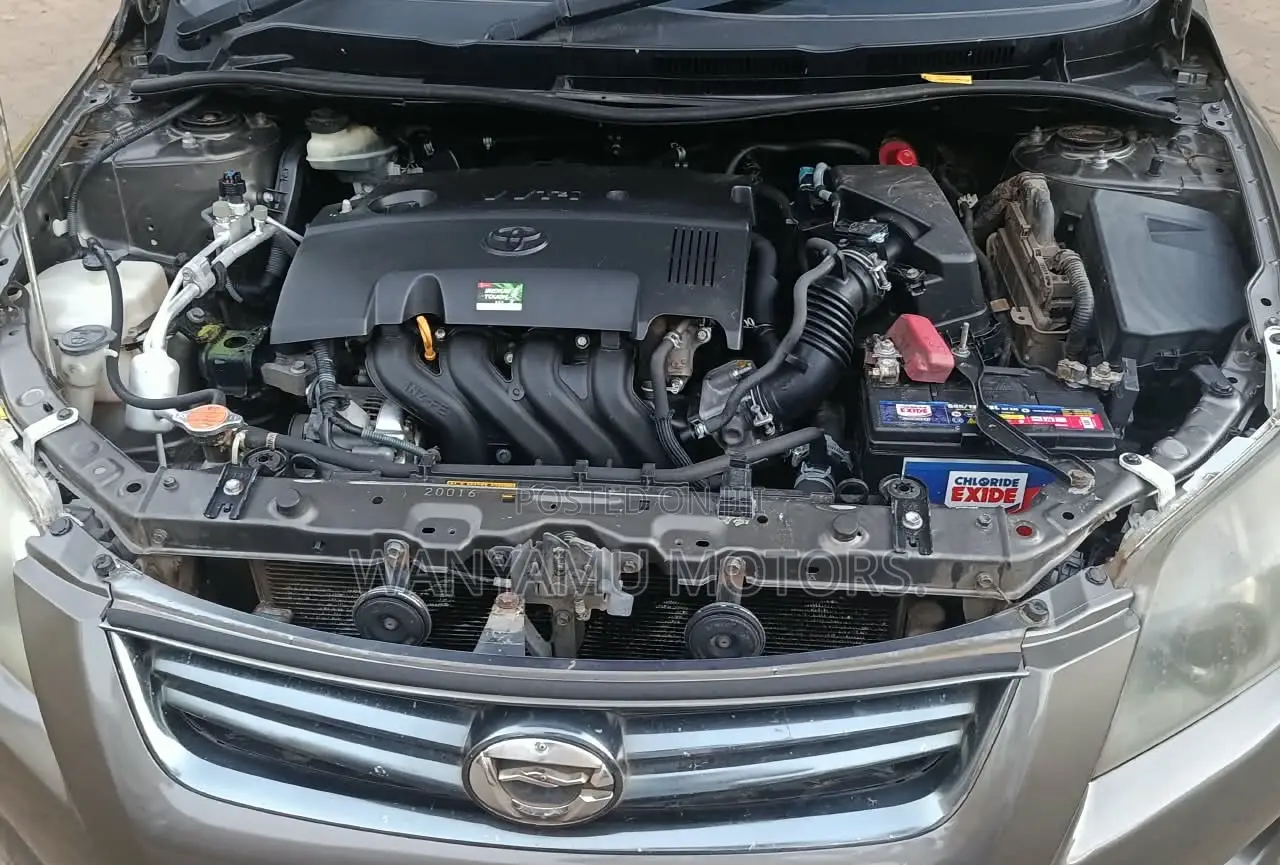 Toyota Corolla Fielder 2010 Gray