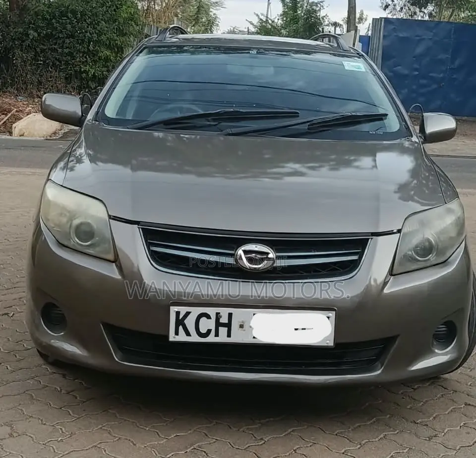 Toyota Corolla Fielder 2010 Gray