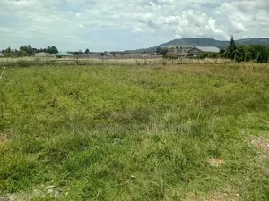 1⁄8 Acre Plot (Square Shape)