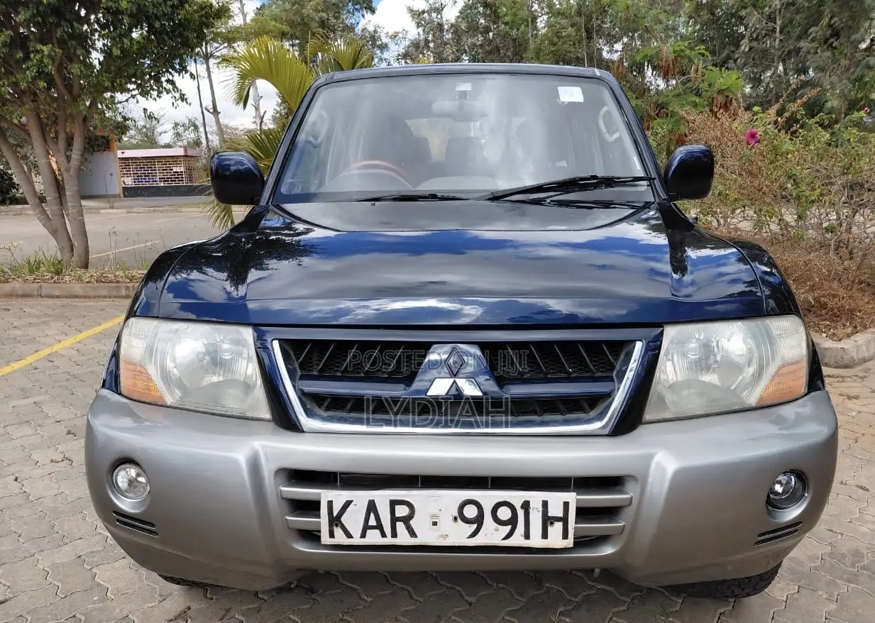 Mitsubishi Pajero 2003 Blue
