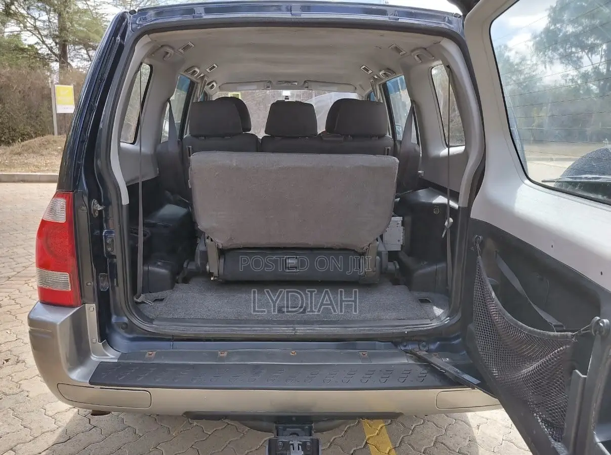 Mitsubishi Pajero 2003 Blue