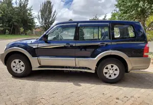 Mitsubishi Pajero 2003 Blue