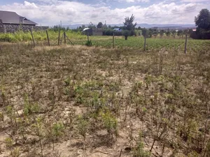 Plot for Sale in Pipeline