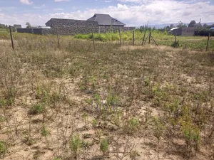 Plot for Sale in Pipeline