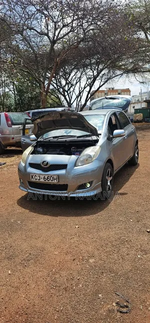 Toyota Vitz 2010 Gray