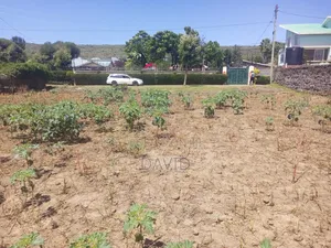 Plots for Sale in Pipeline