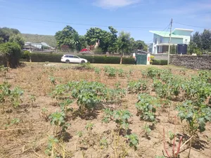 Plots for Sale in Pipeline