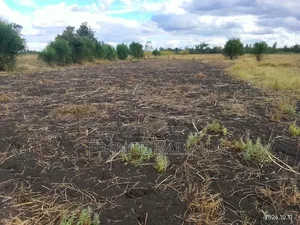 Sagana Land