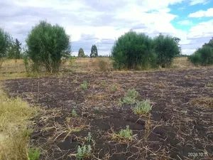 Sagana Land
