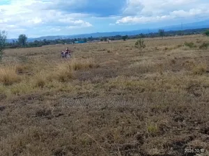 Sagana Land