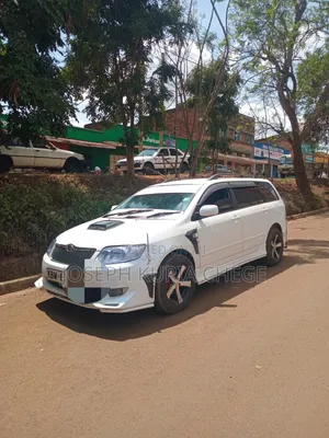 Toyota Corolla Fielder 2006 Pearl
