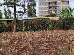 Commercial Plots Ruaka