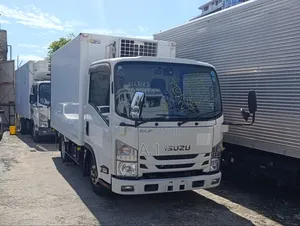 Isuzu Elf Refrigerator Truck