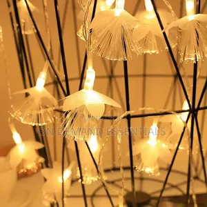 LED Fiber Optic Dandelion Fairy Lights Size 10M