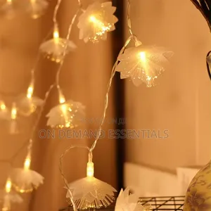 LED Fiber Optic Dandelion Fairy Lights Size 10M