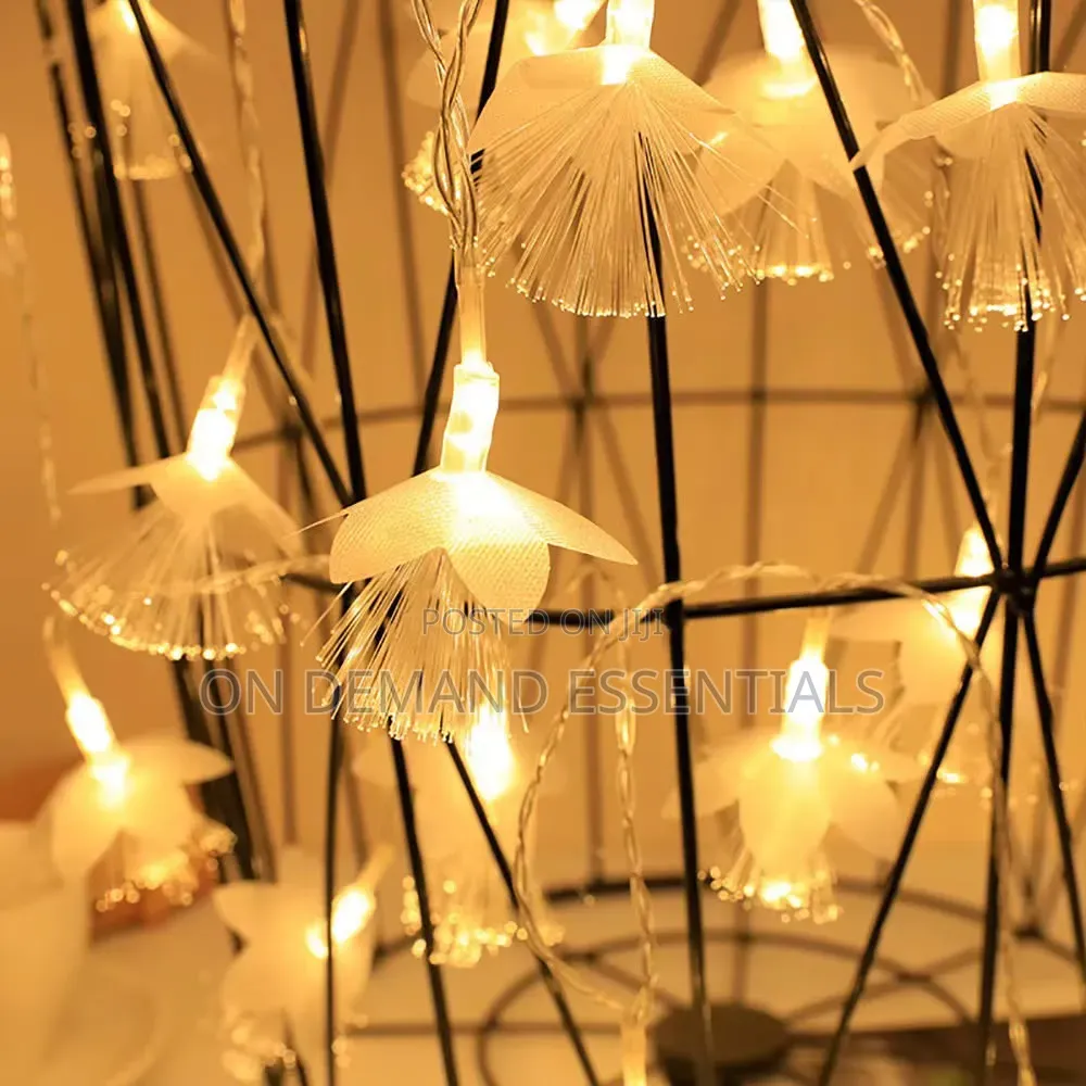 LED Fiber Optic Dandelion Fairy Lights Size 10M