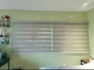 Zebra Blinds for Homes – Modern & Elegant Window Covering