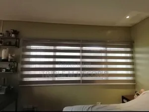 Zebra Blinds for Homes – Modern & Elegant Window Covering