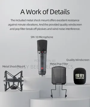 SM-10 Professional Desktop Recording Microphone