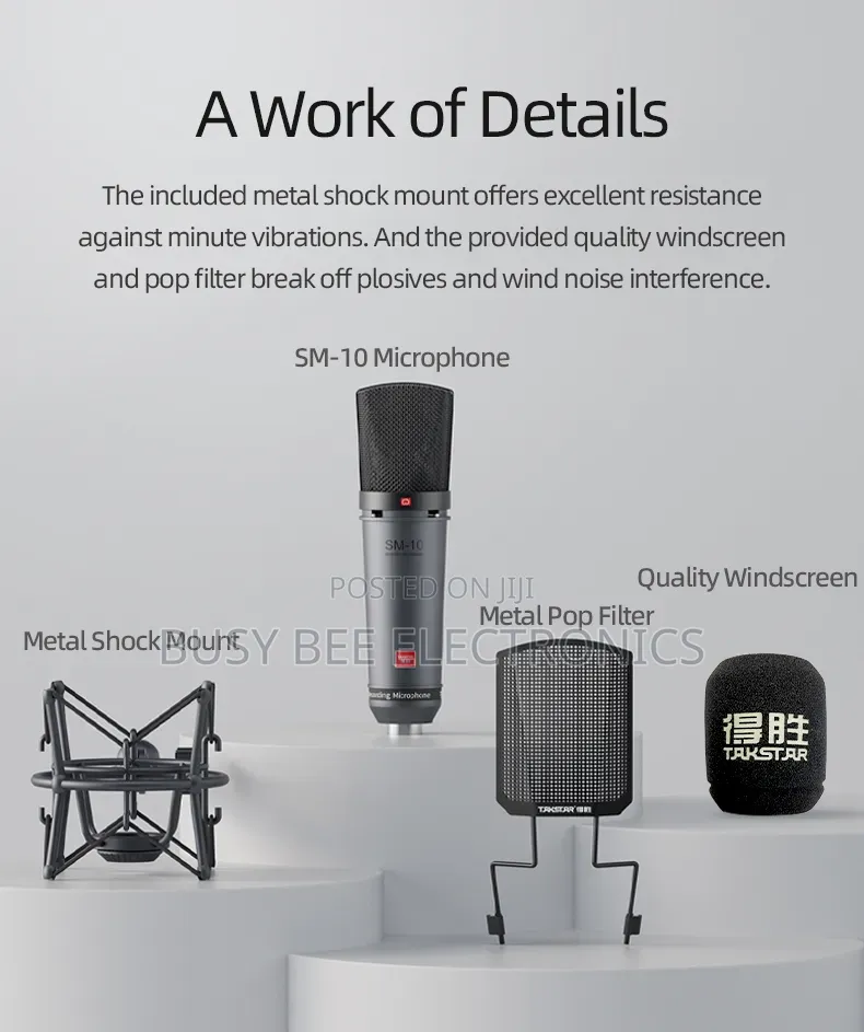 SM-10 Professional Desktop Recording Microphone