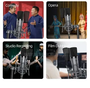 SM-10 Professional Desktop Recording Microphone