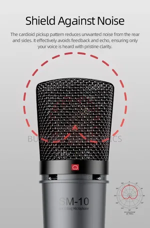 SM-10 Professional Desktop Recording Microphone