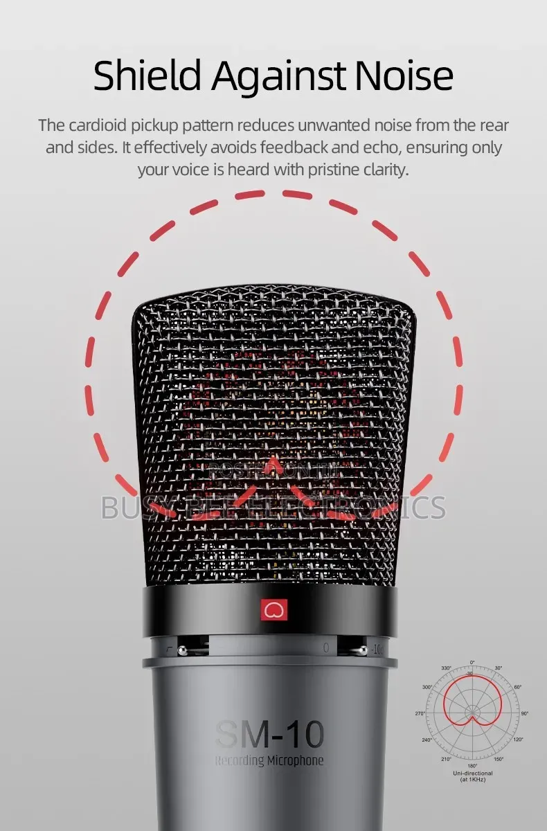 SM-10 Professional Desktop Recording Microphone