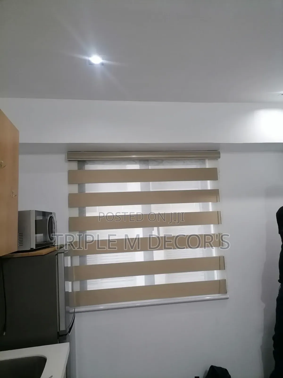 Zebra Roller Shades – Daylight Control & Privacy