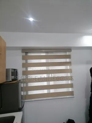 Zebra Roller Shades – Daylight Control & Privacy