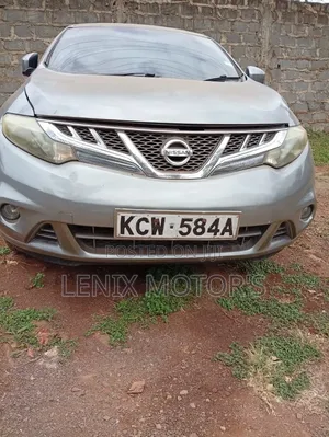 Nissan Murano LE 2012 Silver