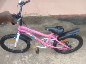 Chipmunk Bike