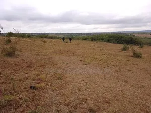 20 Acres Aimi Ma Kilungu Nyumba Ndune Area 2kms From Mombasa Road