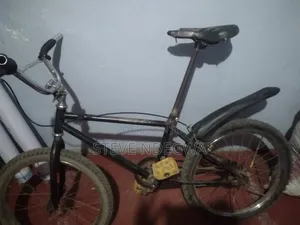 Bicycle for Sport and Fun