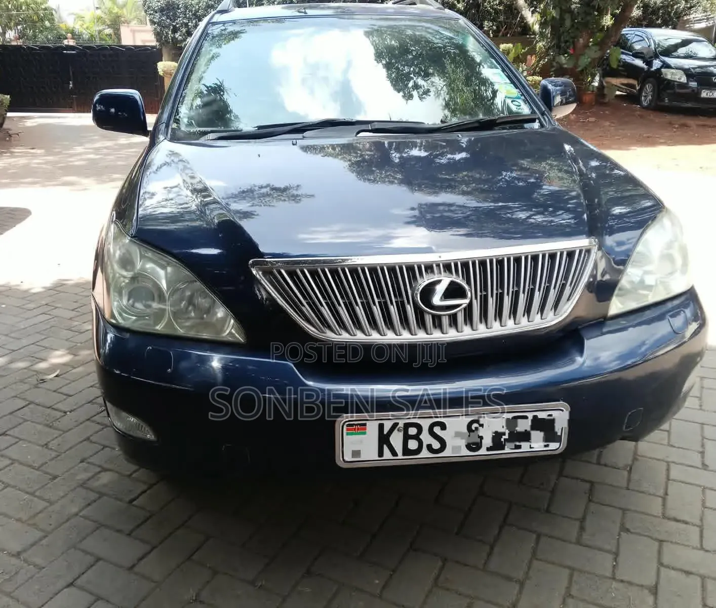 Lexus RX 300 2006 Blue
