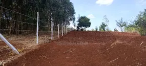 Plots for Sale in Kikuyu Sigona Kerwa(gacuthi) Quarter of an Acre