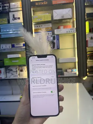 Apple iPhone 13 Pro Max 256 GB Blue