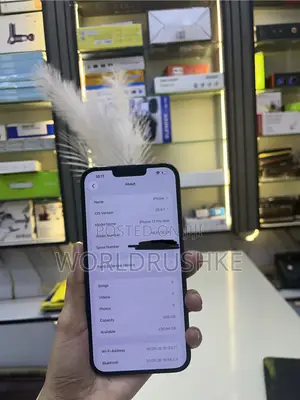 Apple iPhone 13 Pro Max 256 GB Blue