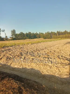Land for Sale