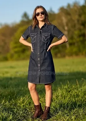 Ladies Denim Dress
