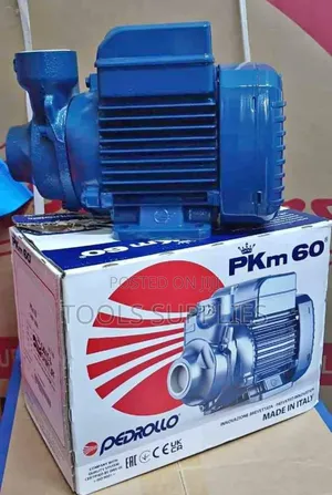 0.5 HP Pedrollo Surface Water Pump