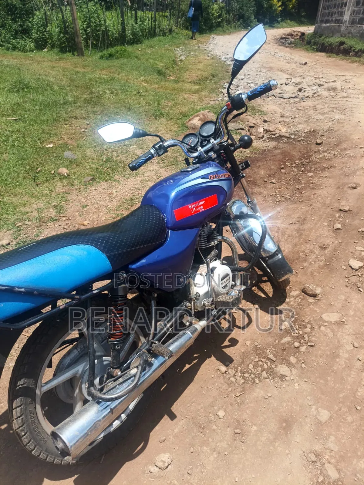 Bajaj Boxer 100 2024 Blue