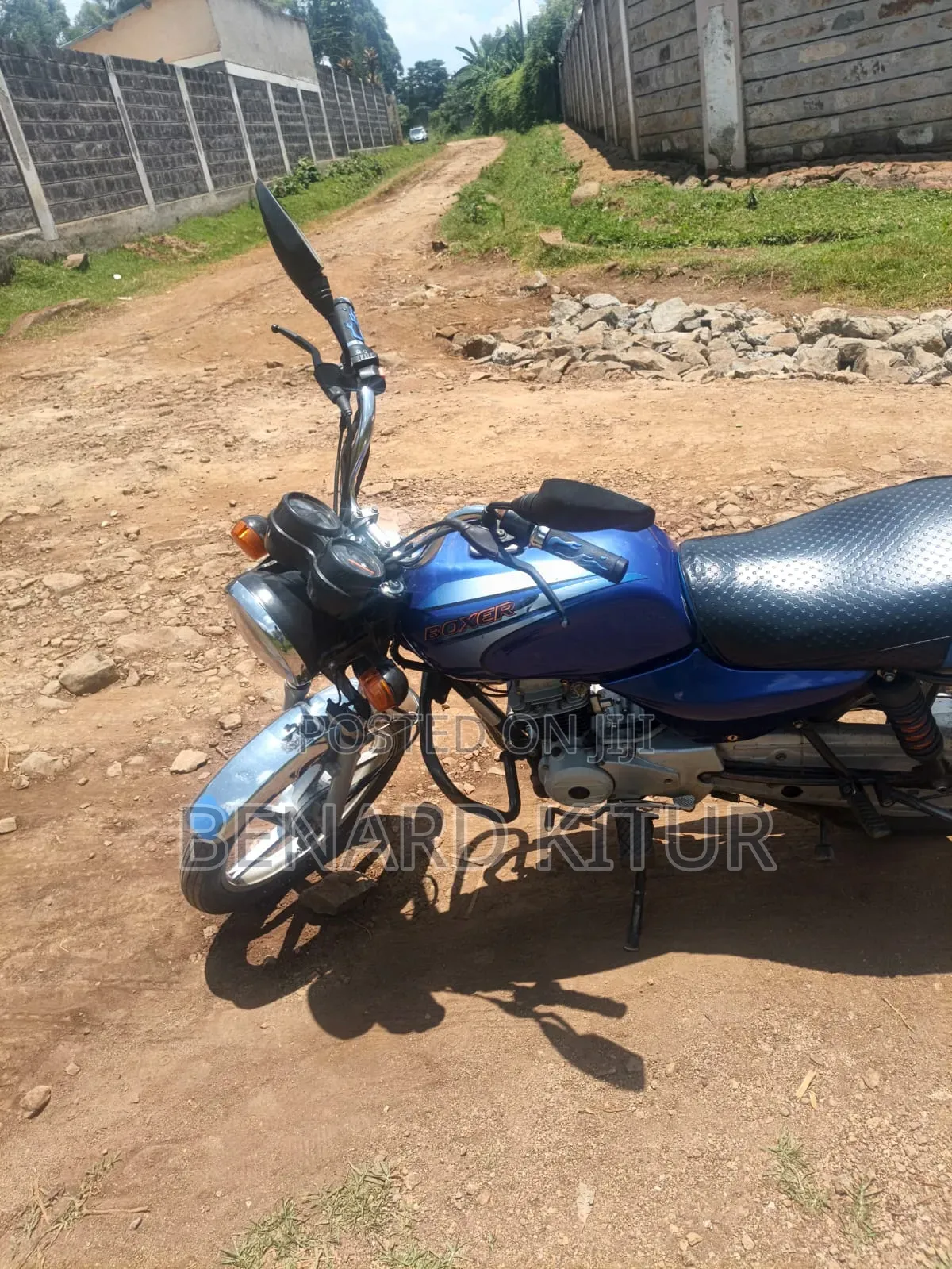 Bajaj Boxer 100 2024 Blue