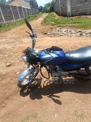 Bajaj Boxer 100 2024 Blue