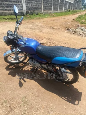 Bajaj Boxer 100 2024 Blue