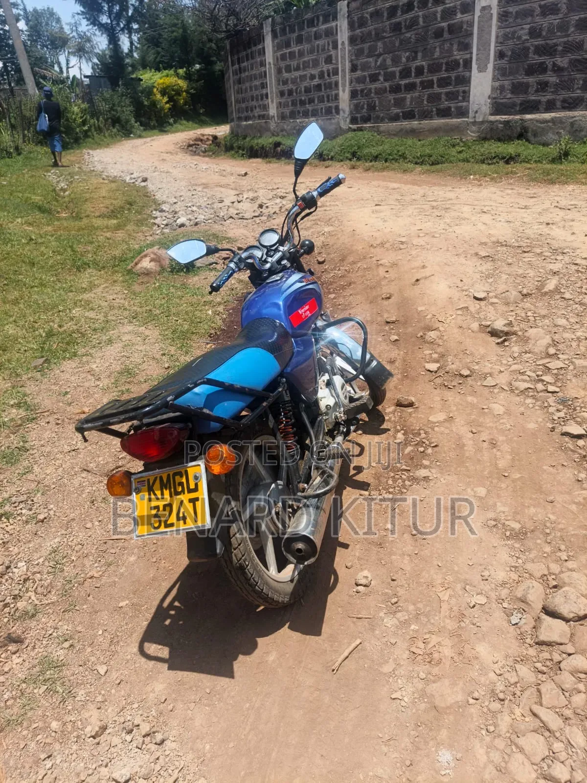Bajaj Boxer 100 2024 Blue