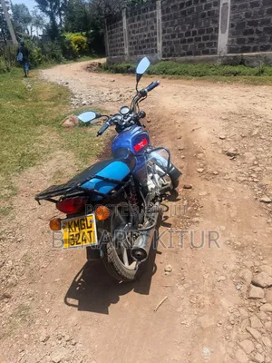 Bajaj Boxer 100 2024 Blue