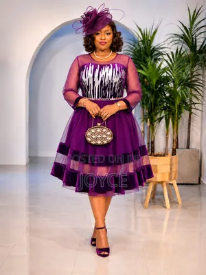 Dress With Net Design