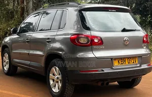 Volkswagen Tiguan 2009 Gold