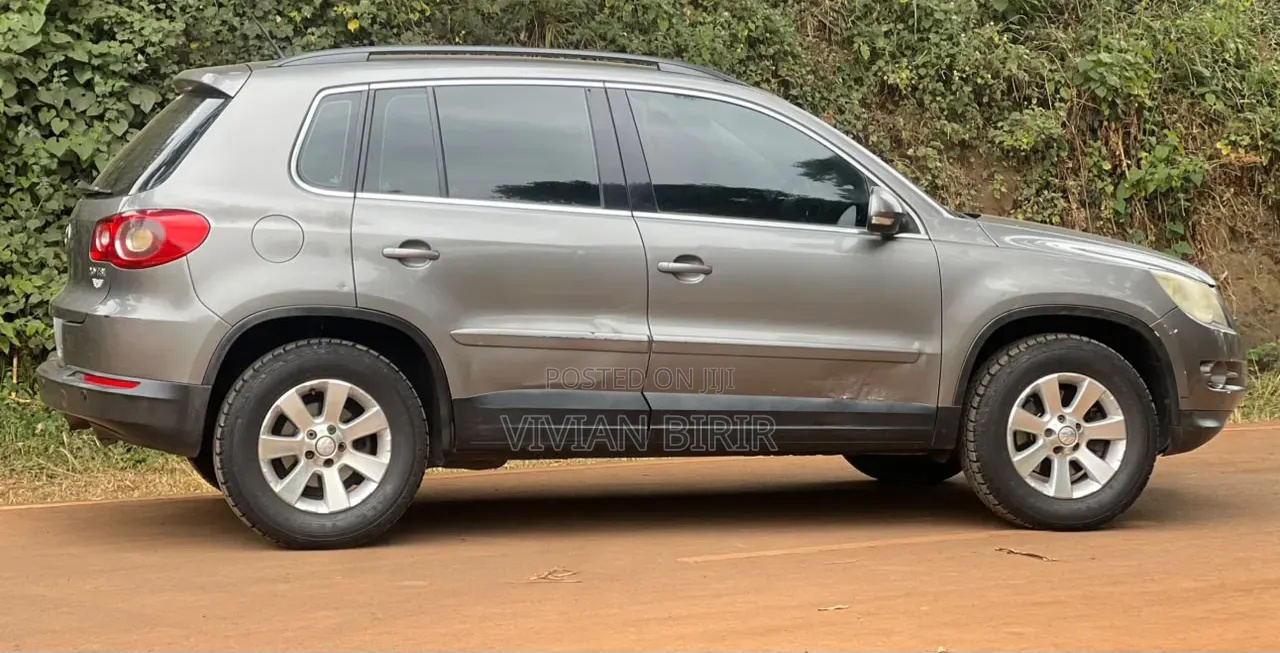 Volkswagen Tiguan 2009 Gold