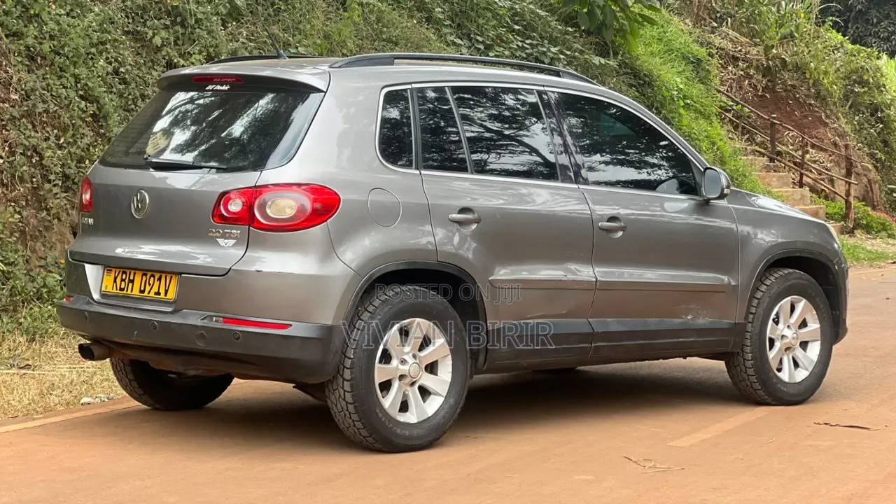 Volkswagen Tiguan 2009 Gold